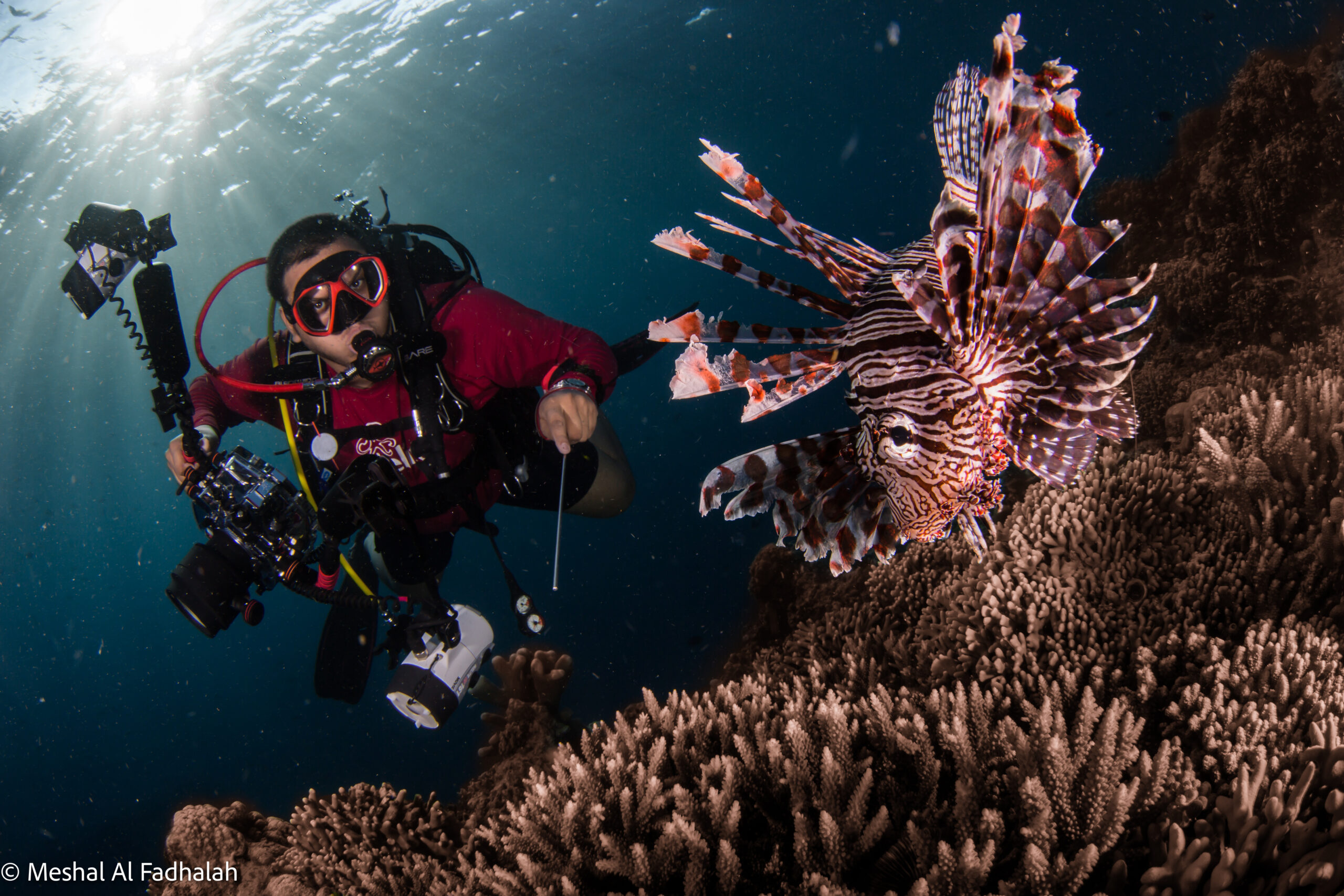 Scuba diver photographing a lionfish over a coral reef
