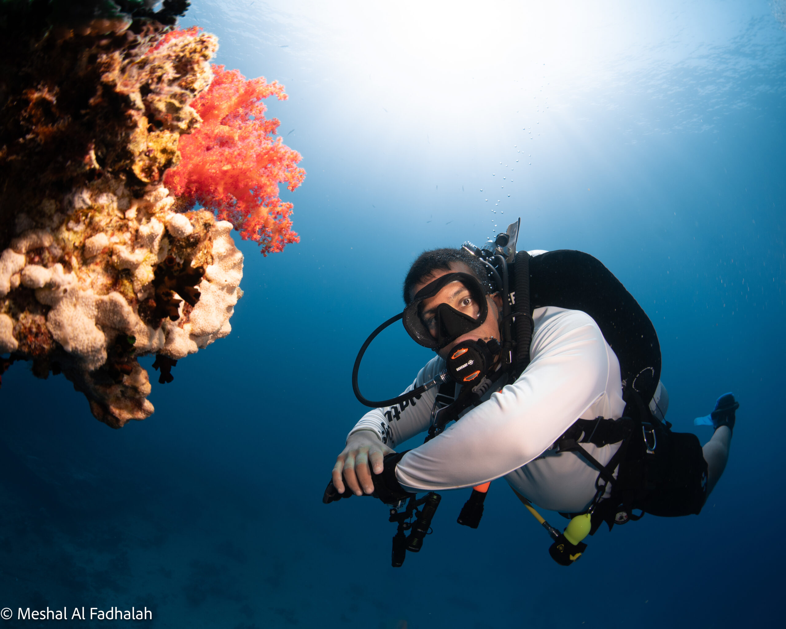 Scuba diver exploring a coral reef underwater